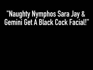 Styggt nymphos sara jay & gemini få en svart manhood ansikts-!
