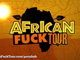 아프리카의 정부 간다 야생 용 화이트 수탉!
