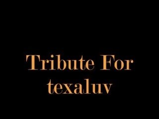 Eros & 音樂 - tribute 為 ttexaluv